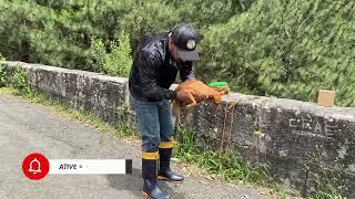 magnetic fishing on the Recanto bridge