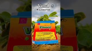 Urgent Alert: This Fear-Inducing Hindi Twist on Vimal Gutka Song Will Leave You Speechless!