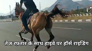 Horse Riding On Road | Horse Running Sound Effect | Very Fast Horse Riding | Sound Of Horse Negging