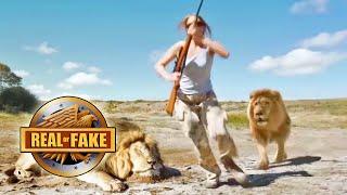 Lion Takes Revenge on Trophy Hunter- real or fake?