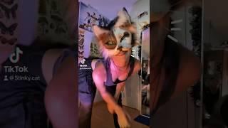 Cat dance partyyy !! [ #dance #therian #cute