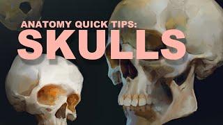 Anatomy Quick Tips: Skulls