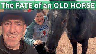 Old Horse, New Beginnings!  The Surprise That Made Their DREAM Come True!