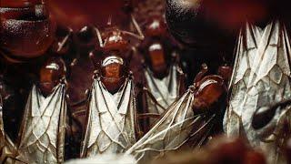 Swarm of Ants Flies For The First Time | Empire Of The Desert Ants | BBC Earth