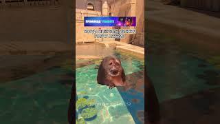Такой чилл поймал #cs2 #cs2clips #cs2moments #cs2funny #cs2memes #кс2 #кс2мемы #кс2приколы #knifex