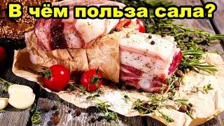 Полезные свойства сала