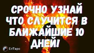 ГАДАНИЕ ОНЛАЙН. ТАРО ДЛЯ МУЖЧИН. СРОЧНО УЗНАЙ ЧТО СЛУЧИТСЯ В БЛИЖАЙШИЕ 10 ДНЕЙ! О ЧЕМ ВАЖНО ЗНАТЬ!