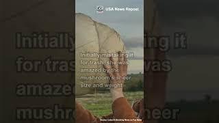 Woman Feeds Family for a Week with Giant 11 Pound Mushroom #usa #usnews