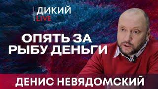 Когда подводит политическое чутье… Денис Невядомский. Дикий LIVE.