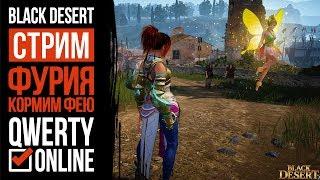 СТРИМ: [BDO]: Black Desert Online - Игра без доната. Фурия 61. Кормим фею, 4 ранг