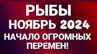 РЫБЫ ️- ТАРО ПРОГНОЗ, ГОРОСКОП НА НОЯБРЬ 2024 ГОД!