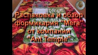 Распаковка и обзор формикария "Мега" от компании "Ant Temple"