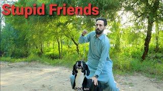 Types of stupid friends (part 2) Buner vines new funny video