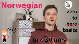 Norwegian course online: Learn Norwegian basics in less than 30 minutes (for beginners)