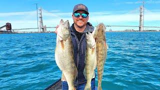 Detroit River WALLEYE on FIRE!!!...(4 Man Limit)