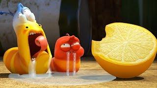 LARVA - LEMON | 2017 Cartoon | Videos For Kids | Kids TV Shows Full Episodes