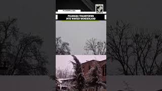 J&K: Pulwama transforms into winter wonderland after fresh snowfall