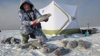 ЗАПРЕЩЁННАЯ РЫБАЛКА В ЗАПРЕТНОМ МЕСТЕ!!! ВОТ ЭТО УЛОВ!