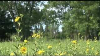 DuPage Forest Preserves: Yours Forever