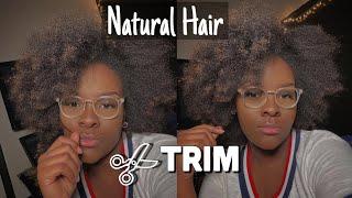 How To Trim Your Own Natural Hair | No More Dead Ends