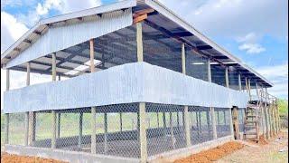 Modern layer Chicken house Construction