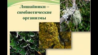 УЧЕБНОЕ ВИДЕО ПО БИОЛОГИИ 5 КЛАСС ЛИШАЙНИКИ