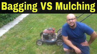 Bagging VS Mulching Grass-Which Is Better