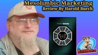 Mesolimbic Marketing Review and Bonuses