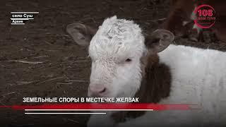 Земельные споры в местечке Желвак: финал истории