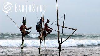 A New Day - A song from Sri Lanka | From the "Laya Project" Film