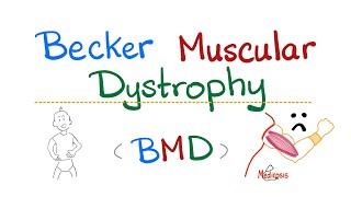 Becker Muscular Dystrophy (BMD) - Muscle Disease