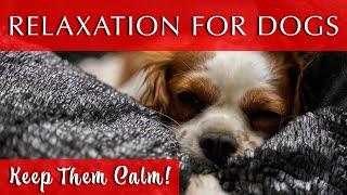 Music to Keep Dogs Company | Keep Them CALM!