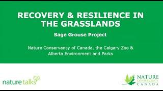 Recovery & Resilience in the Grasslands | NatureTalks Webinar  | June 25, 2020