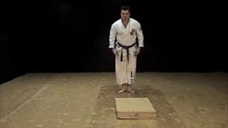 Kusanku No Sai Kata of Isshin-Ryu Kobudo Michael Calandra