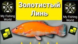 My Fishing World Золотистый Линь ловим один за одним