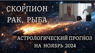 Скорпион, Рак, Рыба  Общий астрологический прогноз на ноябрь 2024 года