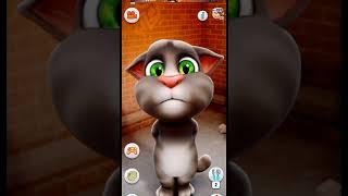 Tomcat said Aiyoo aa 🫑