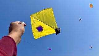 Kite looting 🪁 | kite looting ki video  | kite catching | patang looti #kite