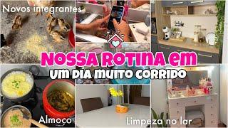 NOSSA ROTINA EM UM DIA CORRIDO| fiz almoço pro marido trabalhar, limpeza na casa, novos integrante