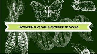 Биология 8 класс $31 Витамины и их роль в организме человека