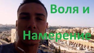 Философия: Воля и Намерение