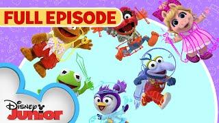 Sir Kermit the Brave  / Animal Fly Airplane ️ | Full Episode | Muppet Babies | @disneyjr