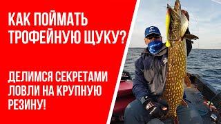 Как поймать большую щуку: советы по ловле на крупную резину!