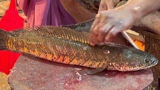 Amazing Sola Fish Cutting In Fish Market | Fish Cutting Skills