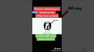 инсон танасидаги мужизалар