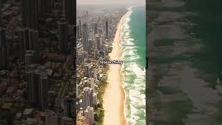 Griffith University Research Scholarships | Fully Funded Scholarships | Study in Australia | Abroad