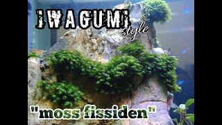 Iwagumi Aquascape dengan moss fissiden # Iwagumi aquascape with moss fissiden