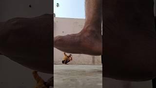 Cinematic videography with monster #shorts #Crazy style  photoediting ideas #ytshorts #edit #viral