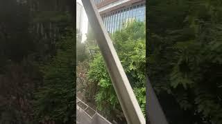 Best Urban Building in Pratunam #best #urban #pratunam #thailand #bangkok #shortvideo #shorts