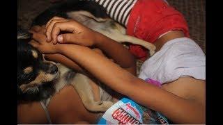 Wow Amazing Beautiful Girl Playing With Dog   Smart & Funny Dog Part13